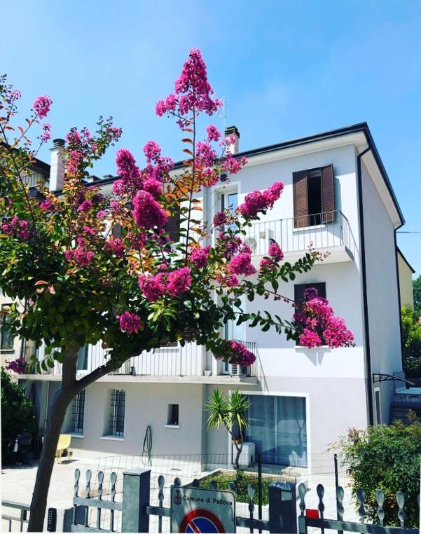 Civico21 Hotel Падуа Екстериор снимка